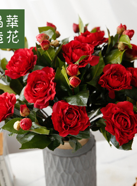 仿真花晶华茶花绢花装饰花
