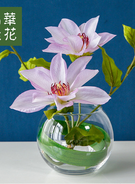 桌面摆件仿真花晶华睡莲铁线莲