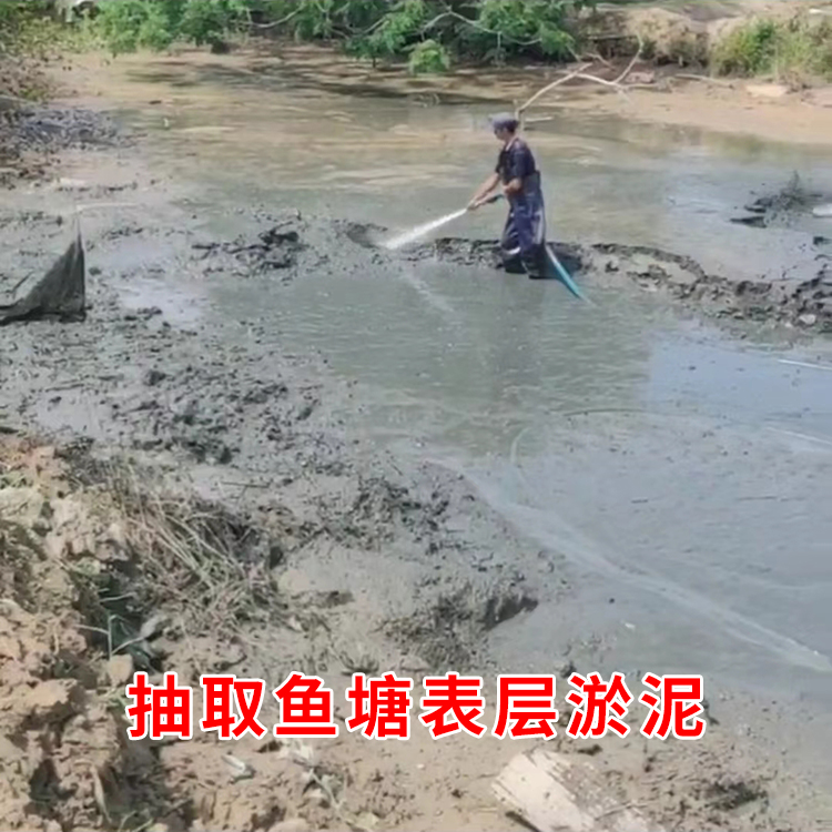 塘泥池塘土花土种菜土果树营养土天然泥土阳台盆栽土园土绿植通用 - 图0