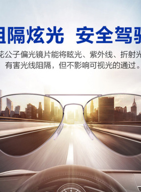 墨镜太阳眼镜花花公子偏光简约