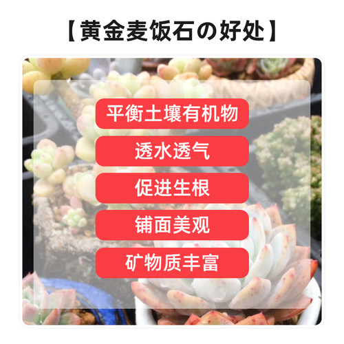 黄金软麦饭石颗粒营养土铺面石养多肉专用土有机优质天然彩虹石 - 图2