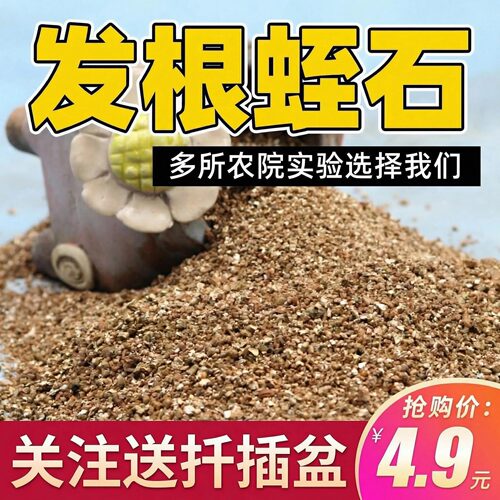 月季扦插蛭石珍珠岩专用营养土大颗粒养花多肉绣球育苗土发根生根 - 图3