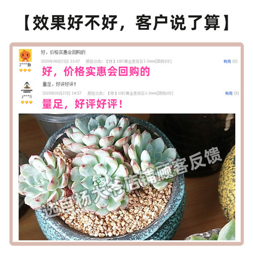 黄金软麦饭石颗粒营养土铺面石养多肉专用土有机优质天然彩虹石 - 图1
