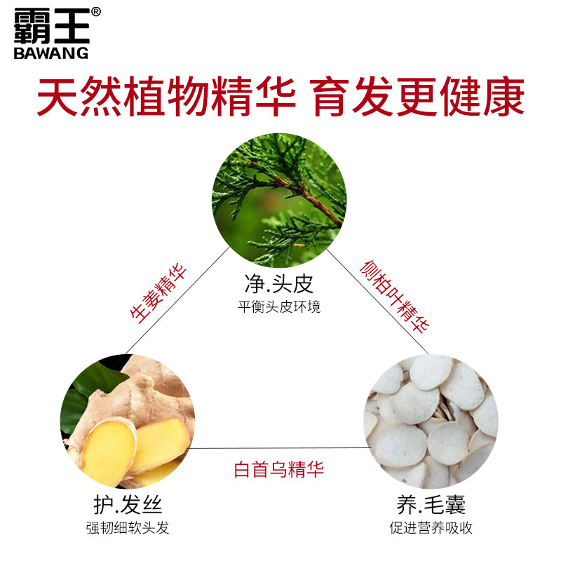 霸王育发套装控油育发液男士洗发露 霸王洗发水