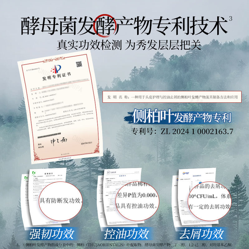 霸王侧柏叶洗发水丰盈强韧控油蓬松去屑洗头膏生姜防断发洗发露