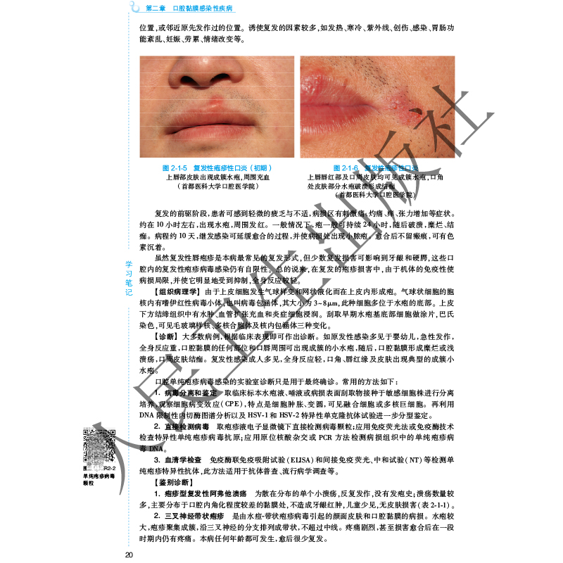 现货 第八轮 口腔医学 口腔黏膜病学（含网络增值服务） 第5版 本科 口腔医学专业 十三五规划 人民卫生出版社 - 图3