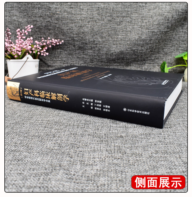 现货妇产科临床解剖学第二版二钟世镇现代临床解剖学全集山东科学技术出版社丁自海王增涛_虎窝淘