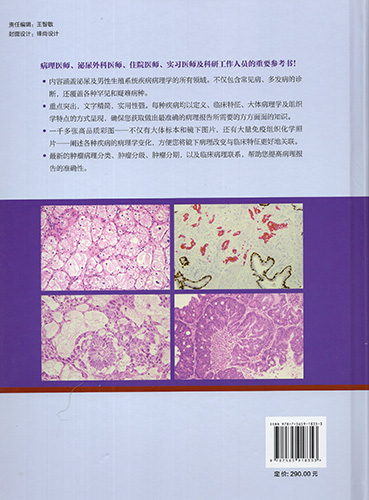 正版现货当日发实用泌尿生殖系统病理学杨熙明贺慧颖郑杰郑闪主编 2018年12月出版版次1精装北京大学医学出版社男科-图0