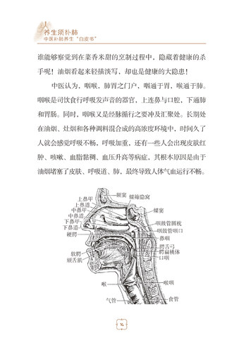 养生须补肺 中医补肺养生