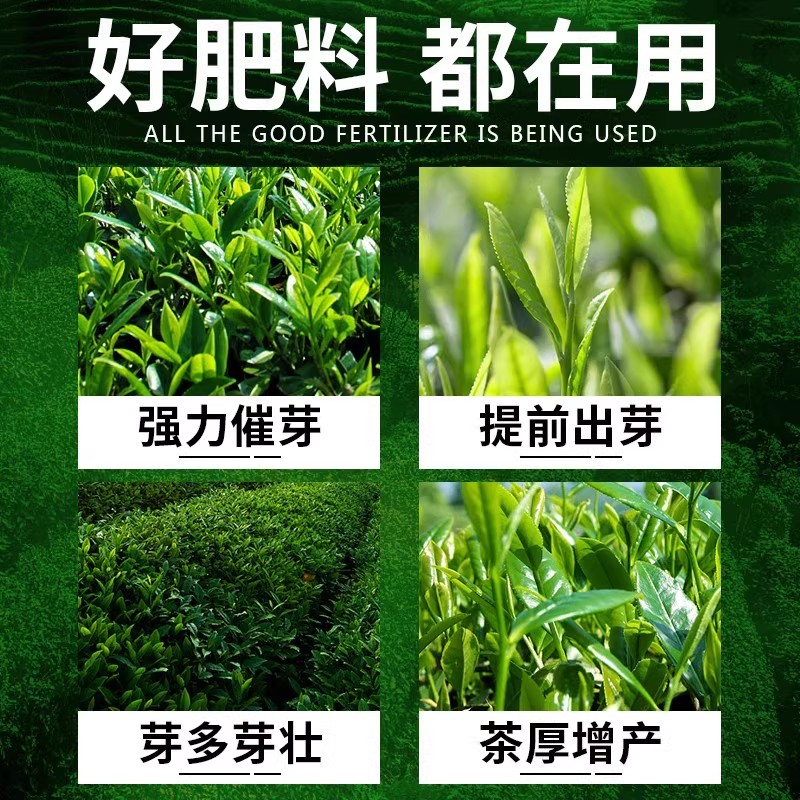 茶树茶叶专用催芽剂叶面肥爆芽优芽素肥料破眠早发多发芽催芽素 - 图1
