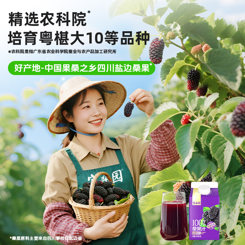 nfc宝桑园100%桑葚汁农科原榨纯桑果汁无添加糖桑椹饮料礼盒装