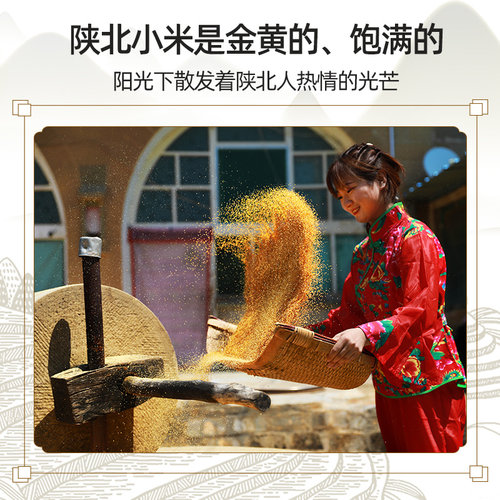 陕北小米黄小米新米小米粥食用米脂小米小黄米粮食油小米五谷杂粮 - 图2
