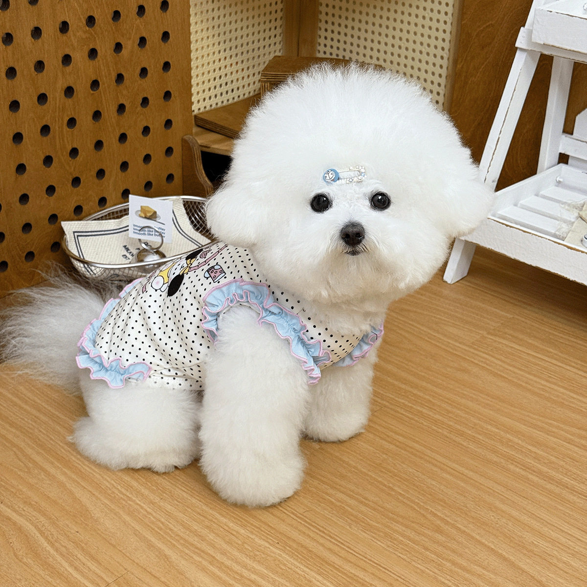 春秋款宠物衣服2025新款狗狗猫咪背心波点印花小型犬服装狗狗,淘宝优惠券,粉丝福利购,淘宝优惠卷