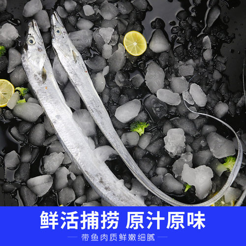 舟山东海小眼睛野生带鱼刀鱼新鲜特级大带鱼整条 无冰 5斤装包邮 - 图1