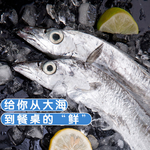 舟山东海小眼睛野生带鱼刀鱼新鲜特级大带鱼整条 无冰 5斤装包邮 - 图2