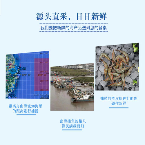 舟山野生滑皮呛虾青壳新鲜特大超大鲜活虾东海剑虾条虾 2斤装包邮 - 图1