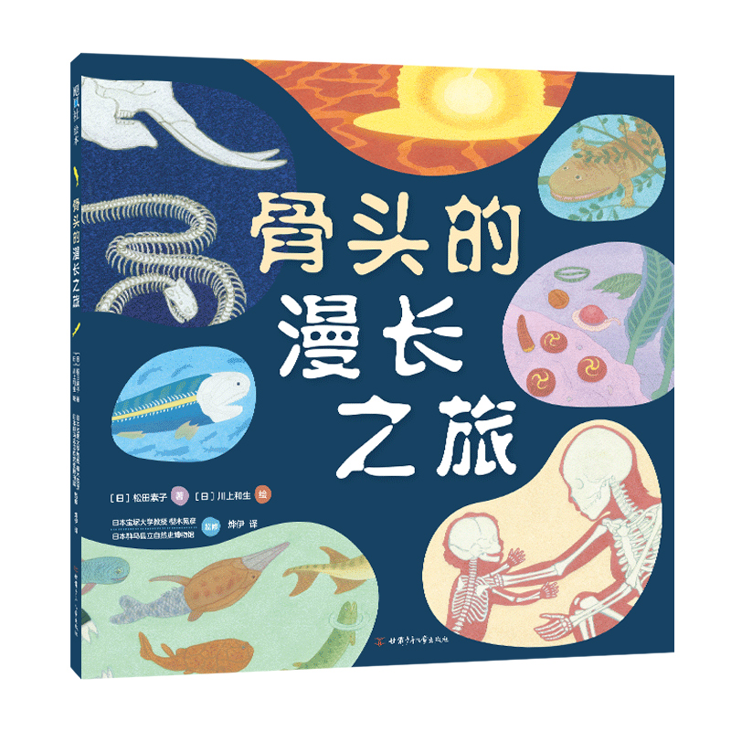 骨头的漫长之旅  松田素子  川上和生  进化  生物简史  大海  陆地  无脊椎  有脊椎  科普绘本  5岁以上  精装 - 图3