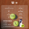 Wilson Will wins professional tennis match 3 pieces