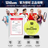 Wilson bears co-branded tennis backpack
