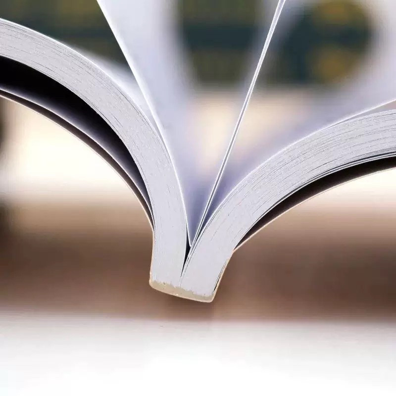 中国琵琶考级曲集（上下 2册）琵琶考级教材修订版 琵琶考级书籍 中国古乐器 名族乐器,淘宝优惠券,粉丝福利购,淘宝优惠卷