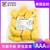 Thai Fresh Trees Cooked Frozen AAA Grade Golden Ram Durian Fruits Meat High Quality Refuse Raw Pack National Shipping