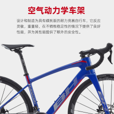 шоссейный велосипед 全进口西班牙bh quartz aero disc公路自行车22速综合碳纤维车架