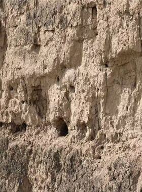 真品老城墙土古城城墙土故古时候的城墙土非落土放心拍镇物专用