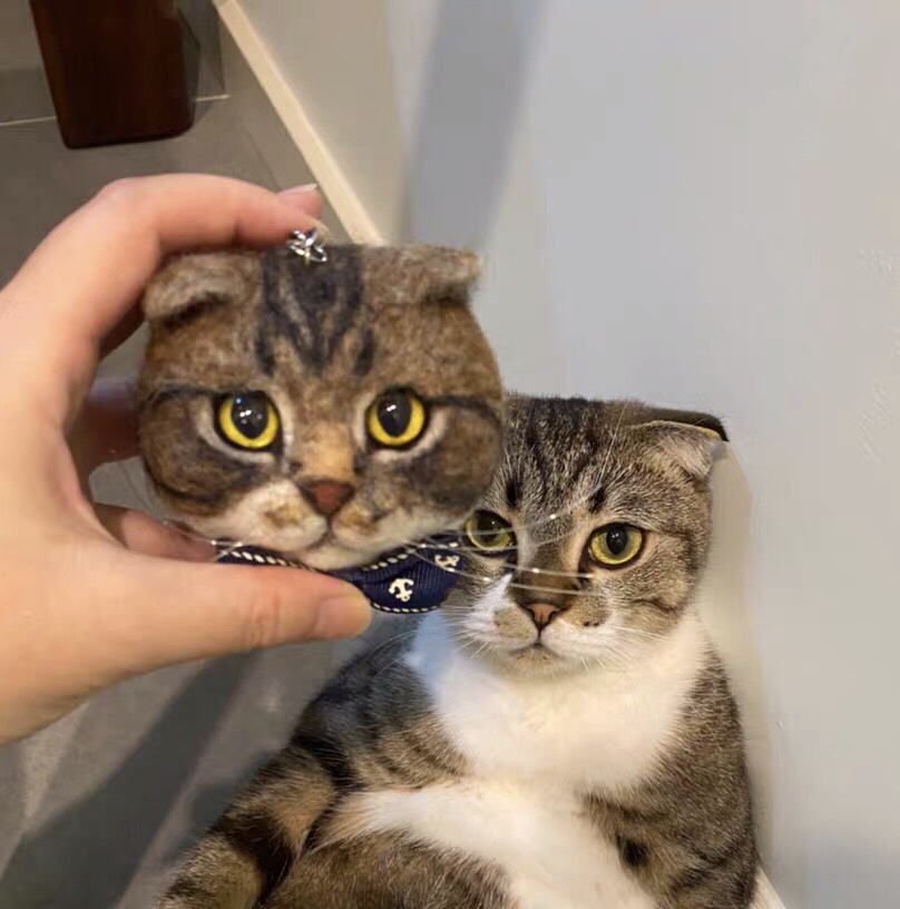 羊毛毡手工来图定做宠物猫咪蓝猫美短英短渐层波斯猫豹猫钥匙扣 - 图1