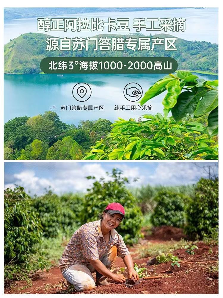 原装黑咖啡Indocafe迎乐速溶咖啡100克罐装-图3