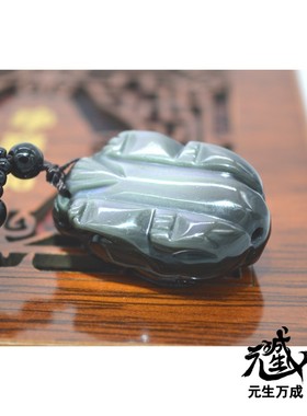 彩虹眼黑曜石龙龟真身导入锤炼