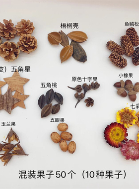 天然手工果子diy标本相框制作材料橡果松果套装幼儿园环创材料包