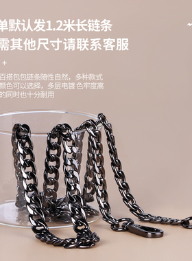 单买配件斜跨腋下包百搭金属链条