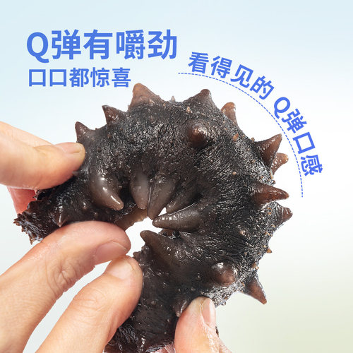 【有机食品】颐参严选大连淡干海参200g 辽参刺参 顺丰发礼盒 - 图2