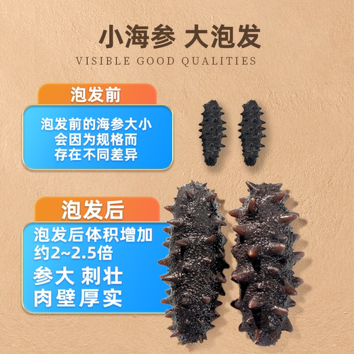 【有机食品】颐参严选大连淡干海参200g 辽参刺参 顺丰发礼盒 - 图1