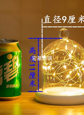 带灯光桌面摆件diy玻璃永生花