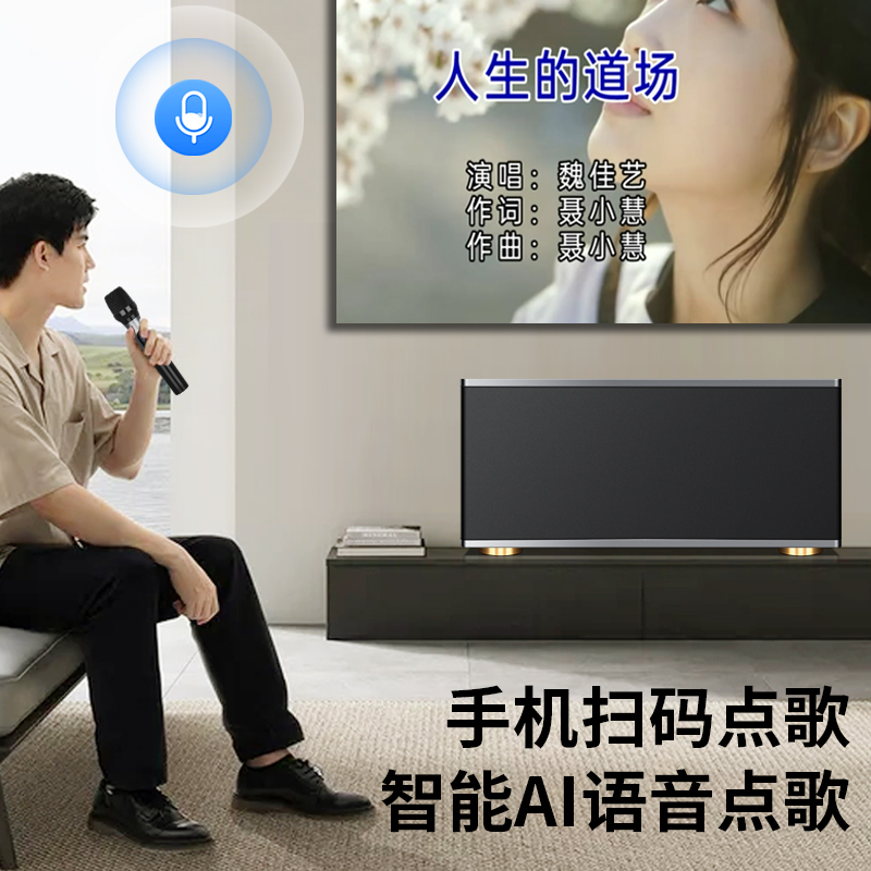 New home ktv audio all-in-one k song audio