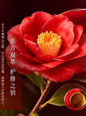 碧琳红山茶淡纹紧致补水五件套