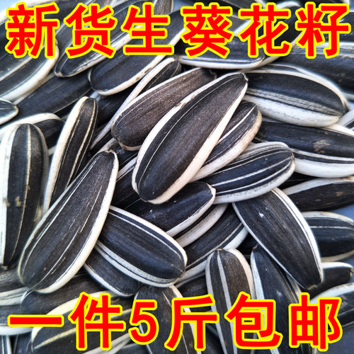 带壳生葵花籽原味生瓜子内蒙新鲜葵瓜子非炒熟大颗粒瓜子1-5斤 - 图0