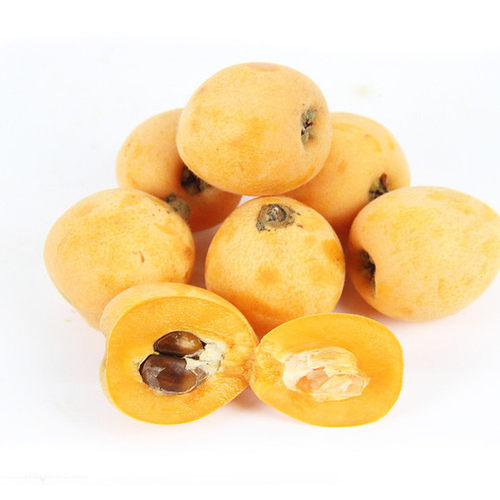 特大早熟五星甜枇杷苗树苗早钟6号苗嫁接苗果树南方北方带果盆栽 - 图1