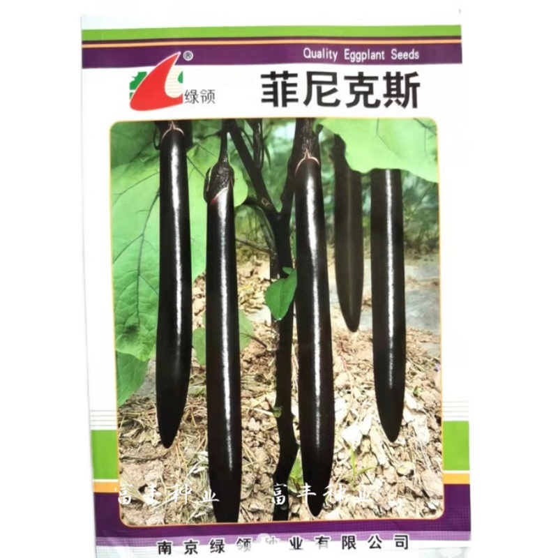 绿领菲尼克斯 贝里斯黑紫长茄子种籽早熟长条形顺直紫色长茄种子 - 图2