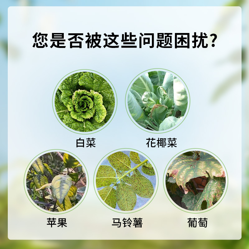 螯合锰肥EDTA可溶水粉末1kg包邮银海化工花卉蔬菜果树1kg25kg - 图2