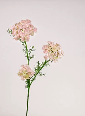 仿真花蕾丝花艺造景装饰假花艺家居美学空间陈设摄影道具