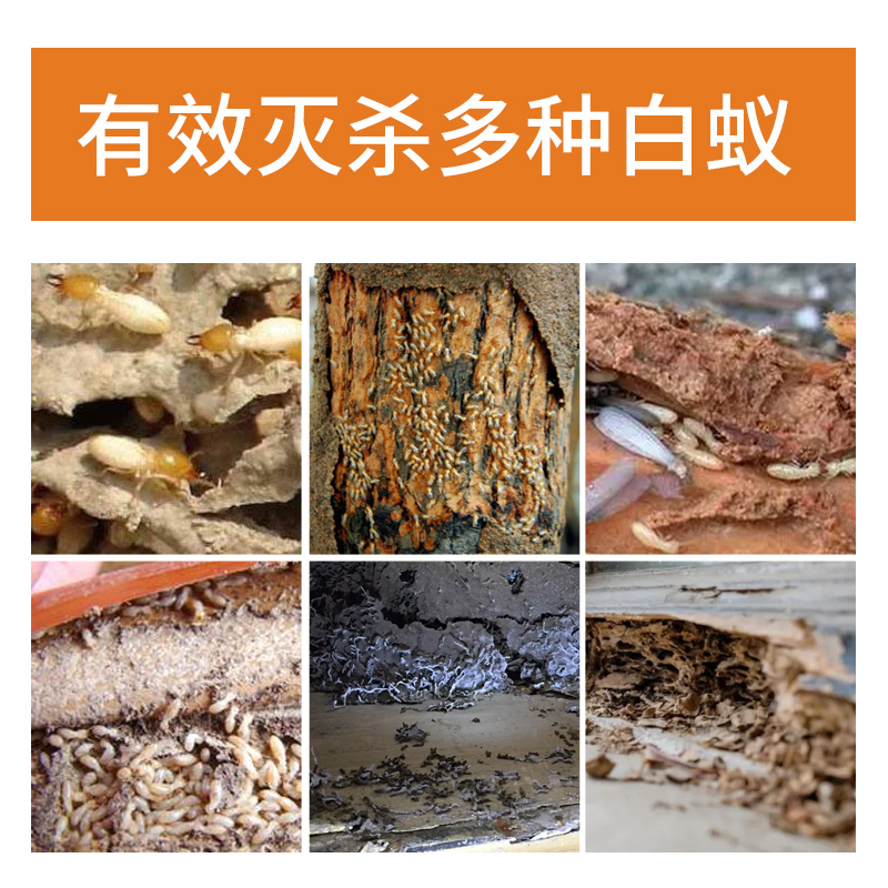 安速白蚁药防治传染一窝端家用室内杀白飞蚂蚁杀虫剂防治药粉
