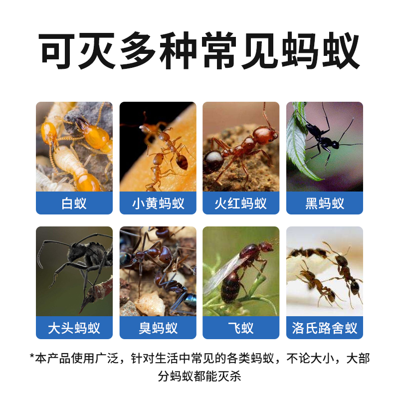 日本安速除蚂蚁药家用室内全窝端神器厨房驱灭白蚁杀虫粉剂非无毒