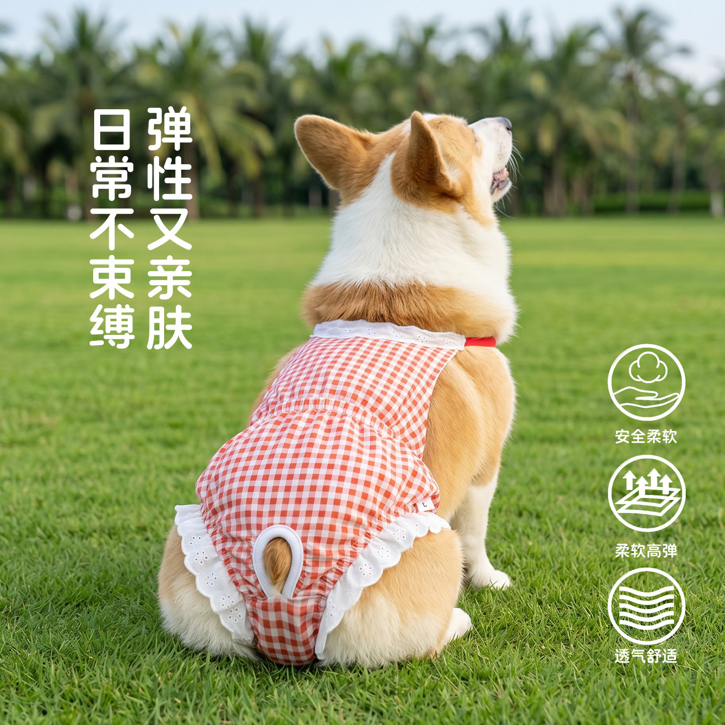 图4
