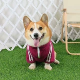 Одежда для любимой собаки осень стиль весна и осенью Новая осень и зимняя собака среднего размера