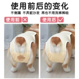 Магазин обратно, пассажир прошел 10 000 -летний магазин домашний собака физиологические брюки по уходу