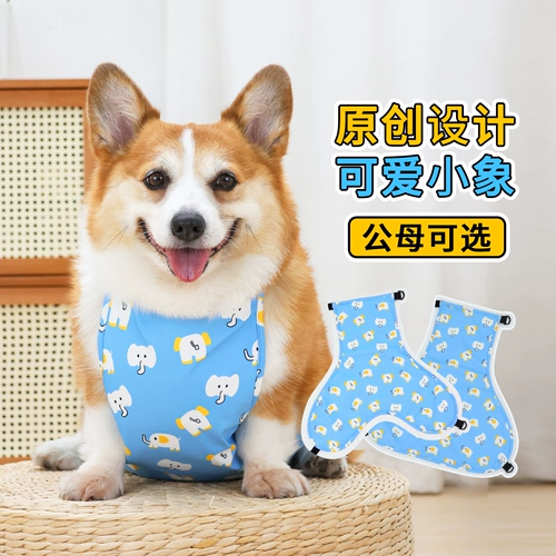 Петучная собака Анти-дурацкие животы для всех сезонов водонепроницаем