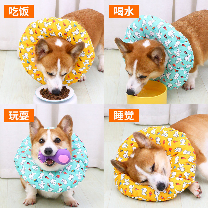 宠物狗狗猫咪伊丽莎白圈绝育用品防舔西高地小狗软头套小型犬脖圈,淘宝优惠券,粉丝福利购,淘宝优惠卷