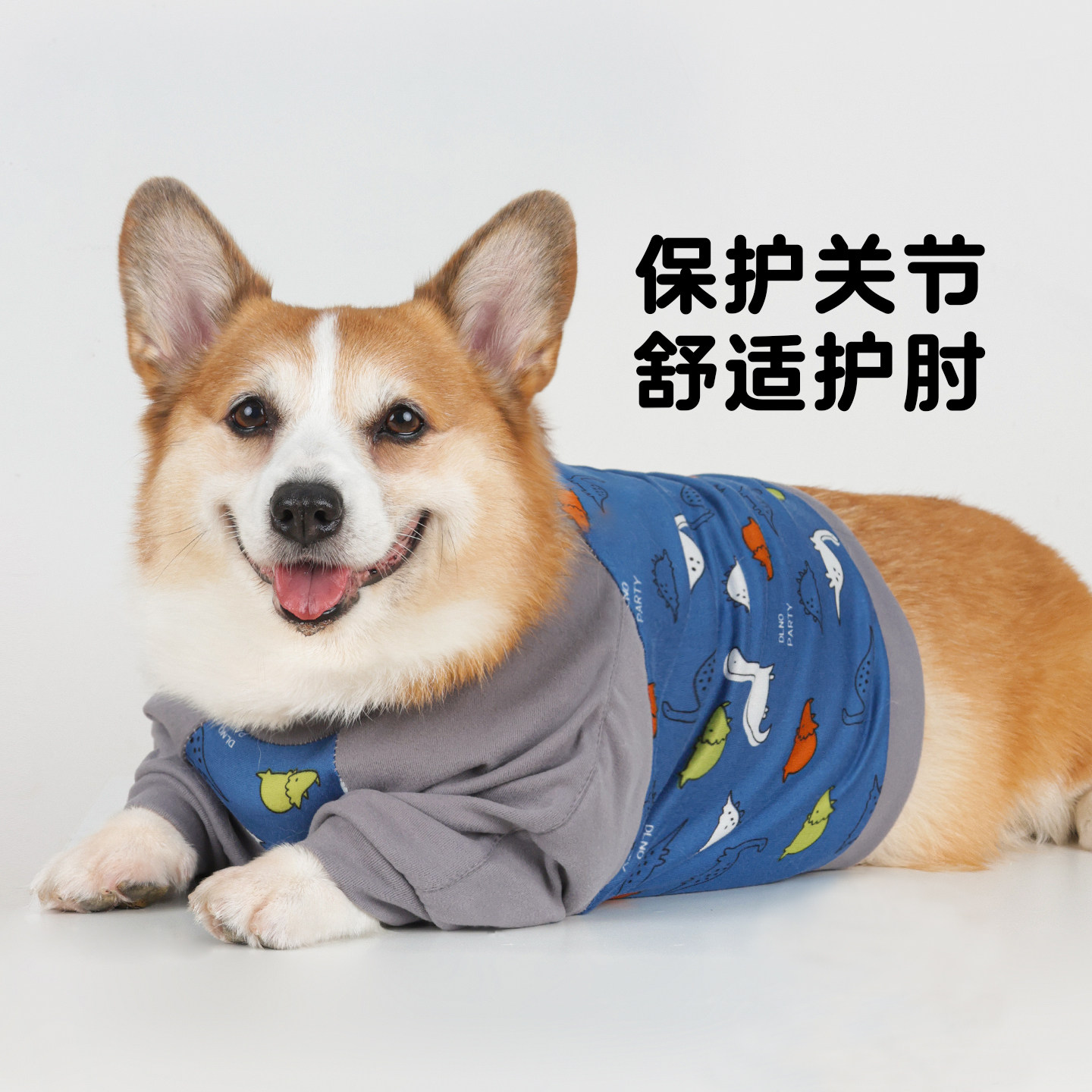 宠物衣服秋季狗狗护肘衣关节保护套柯基法斗防脏护膝护肘关节套狗,淘宝优惠券,粉丝福利购,淘宝优惠卷